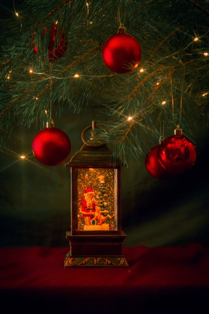 Photograph by Ангелина Карелина