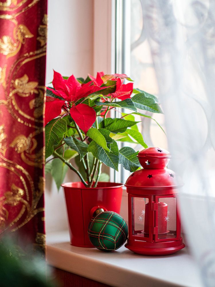 Photograph by Доляна Ашкова