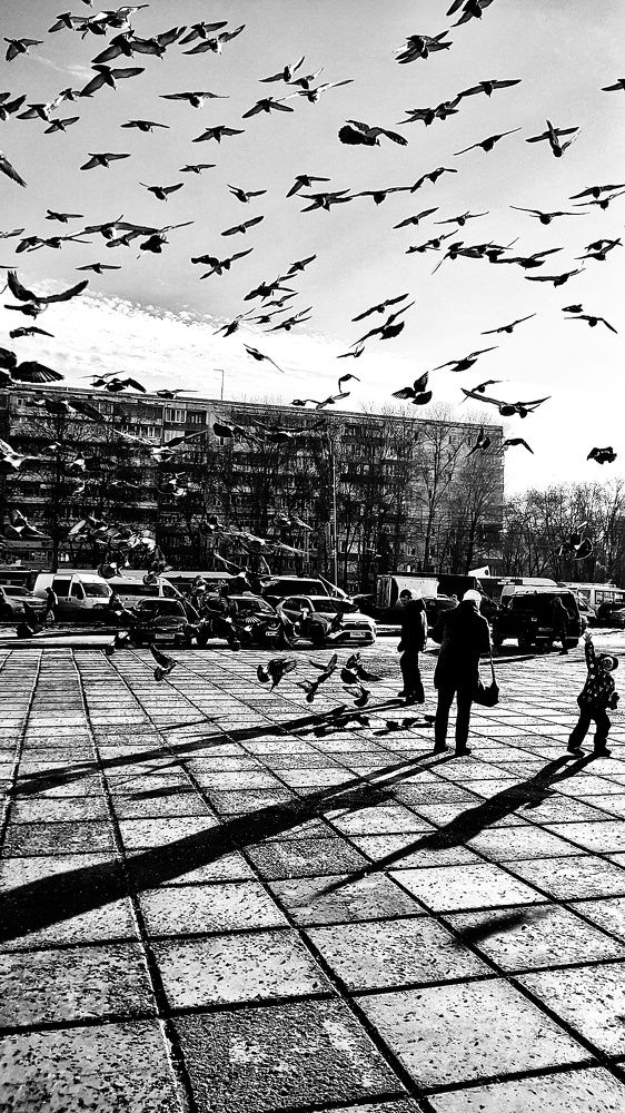 Photograph by Инга Сабанова