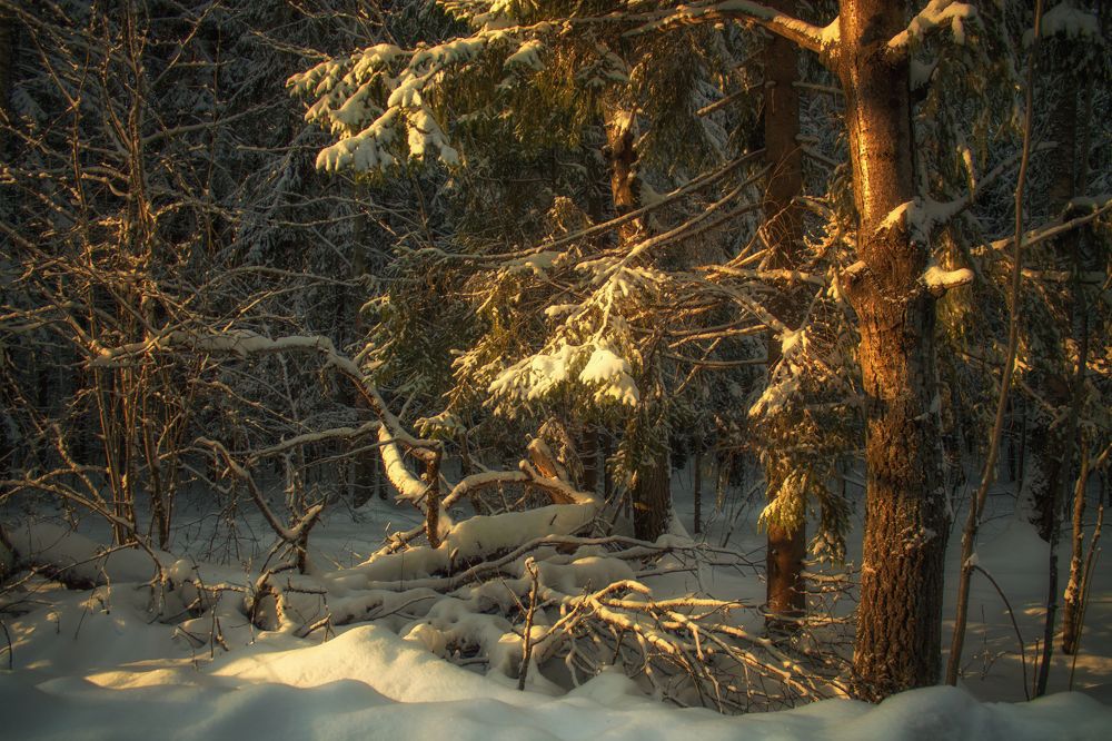 Photograph by Федоров Денис