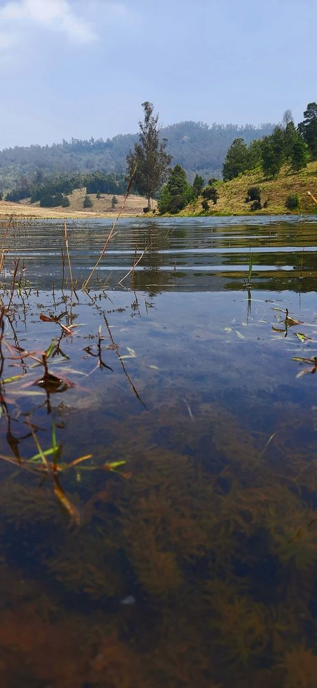 Photograph by Avila.D