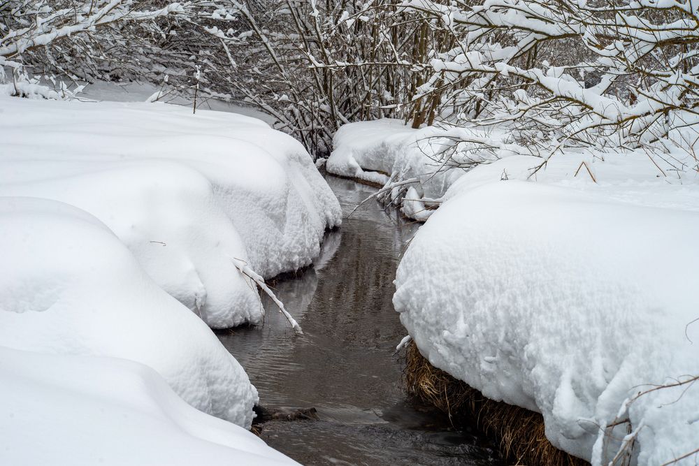 Photograph by Раиса Иванова