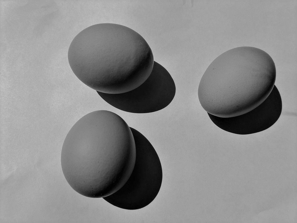 Photograph by Ксения Незговорова