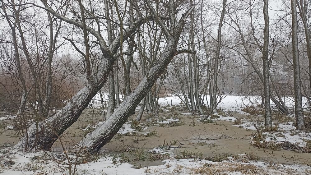 Photograph by Светлана Агапова