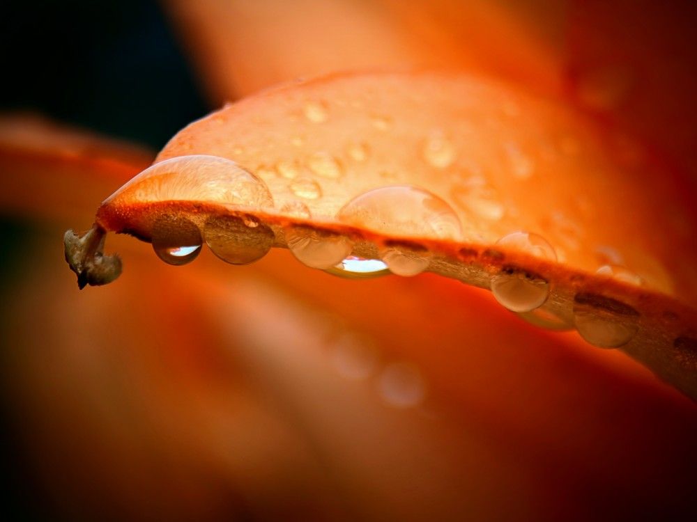 Photograph by Денис Грамович