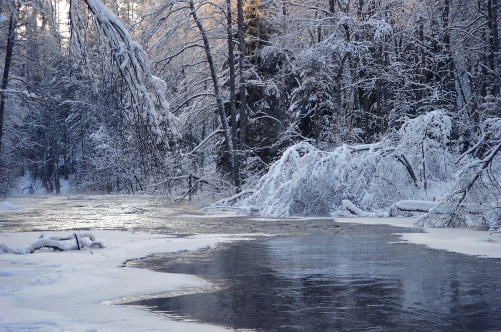 Photograph by Светлана Муравьева