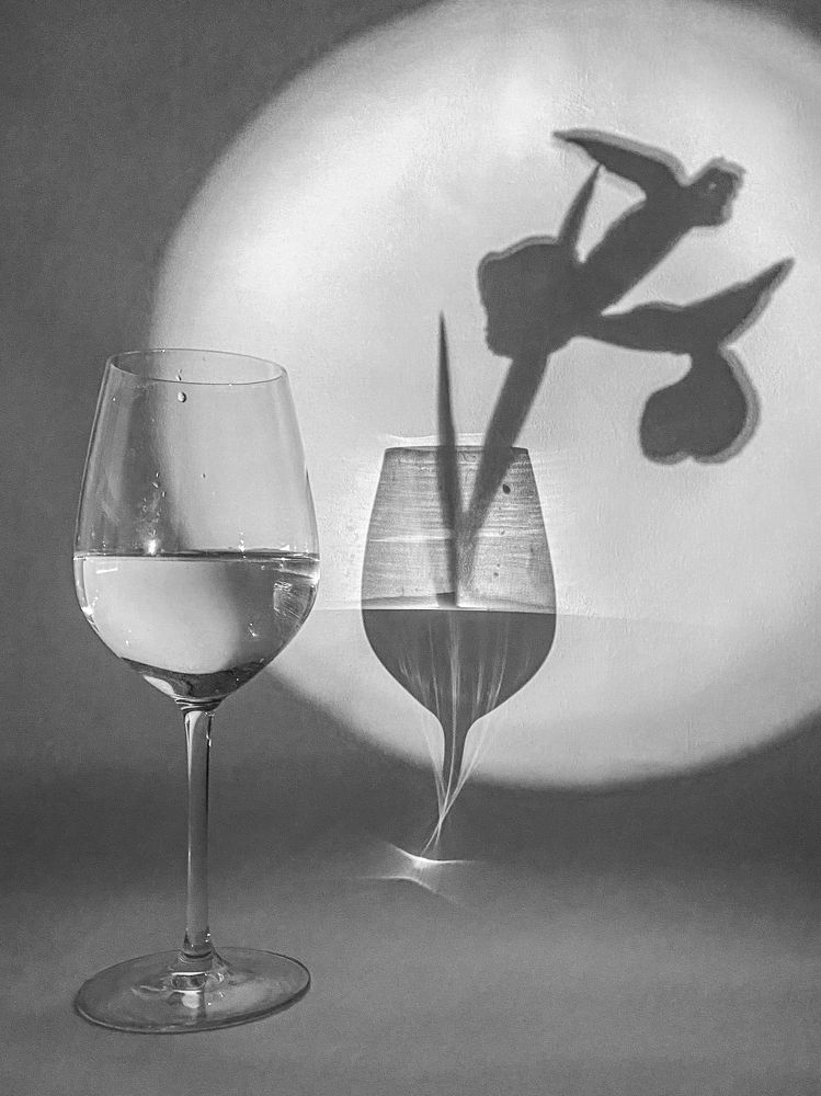 Photograph by Екатерина Бердутина