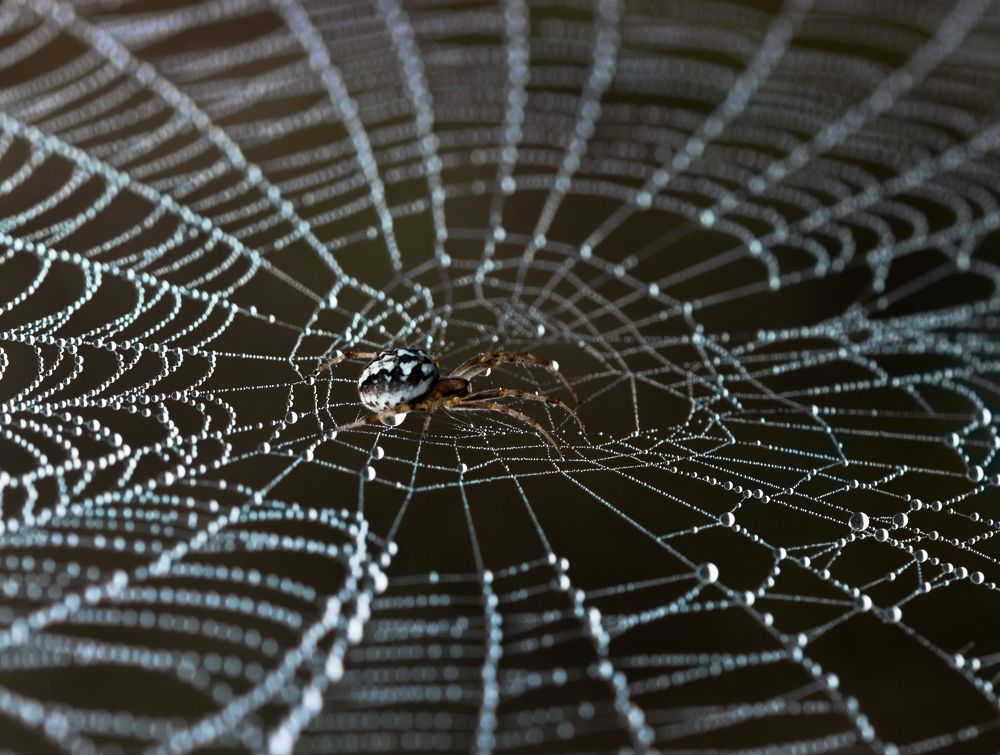 Photograph by Викулов Николай