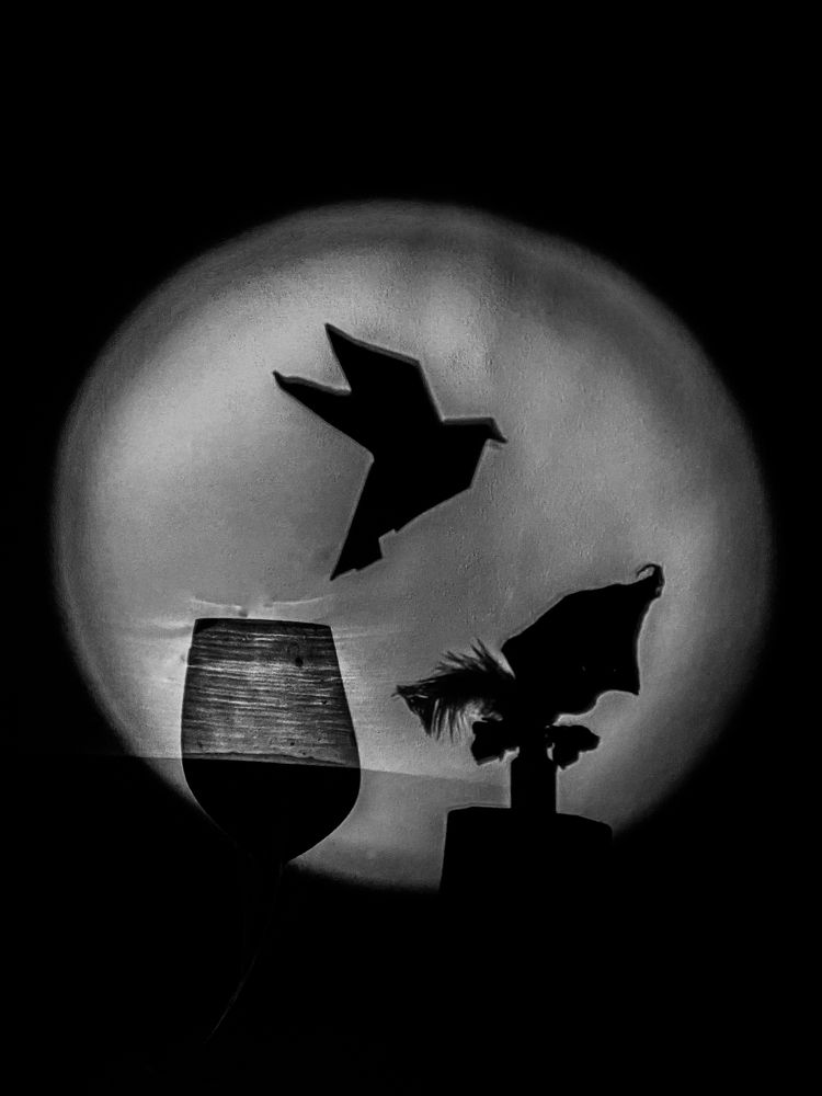 Photograph by Екатерина Бердутина