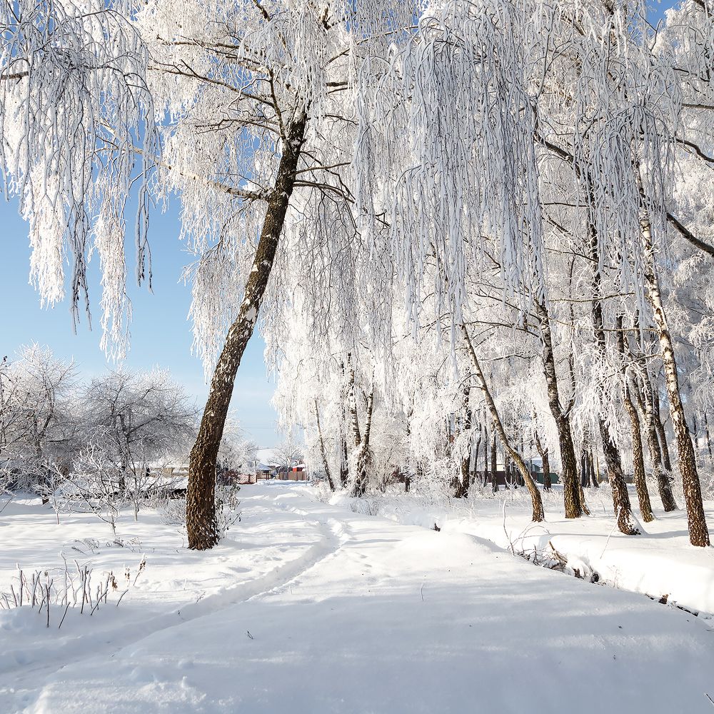 Photograph by Крышен Сергей