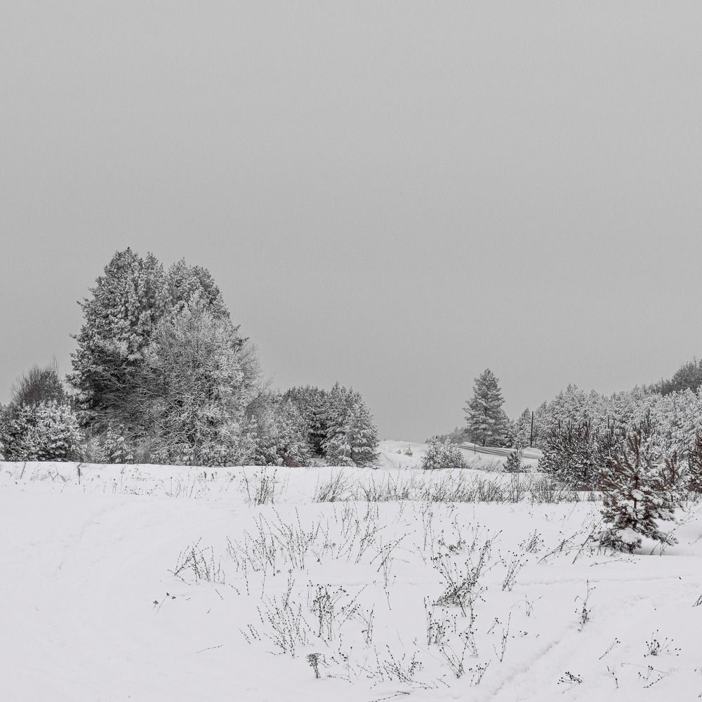 Photograph by Миша Азиатцев