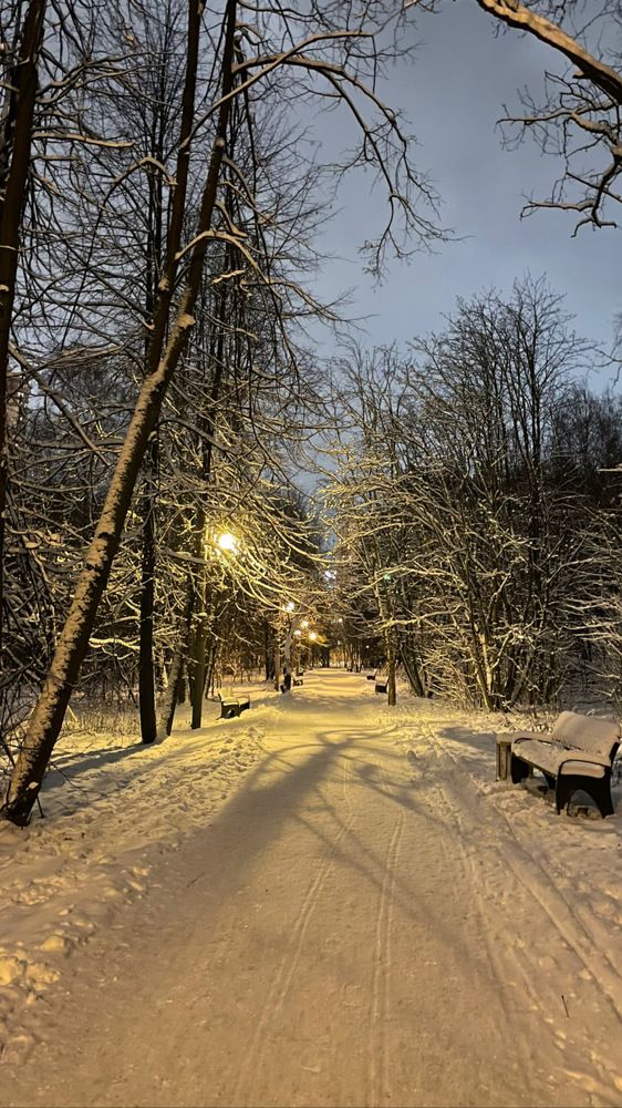 Photograph by Юлия Давшан