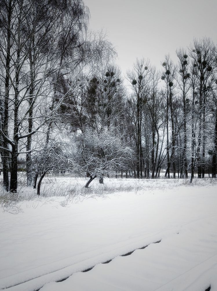 Photograph by Svetlana Yurasova