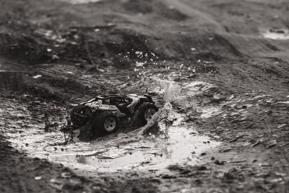 Фотография автора Войнов Дмитрий