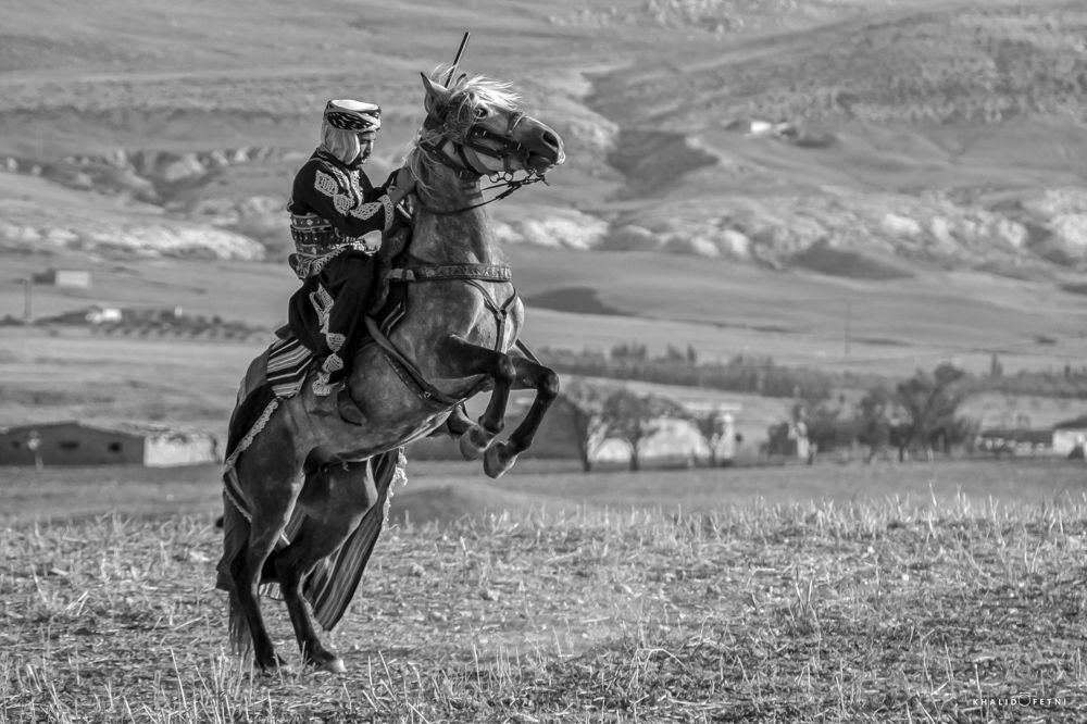 Photograph by Fetni Khalid