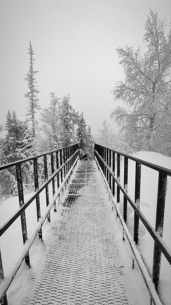 Photograph by Ольга Метлицкая