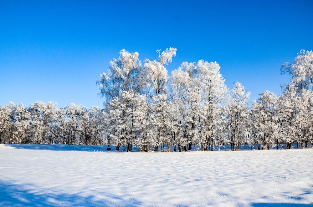 Photograph by Денчук Наталья