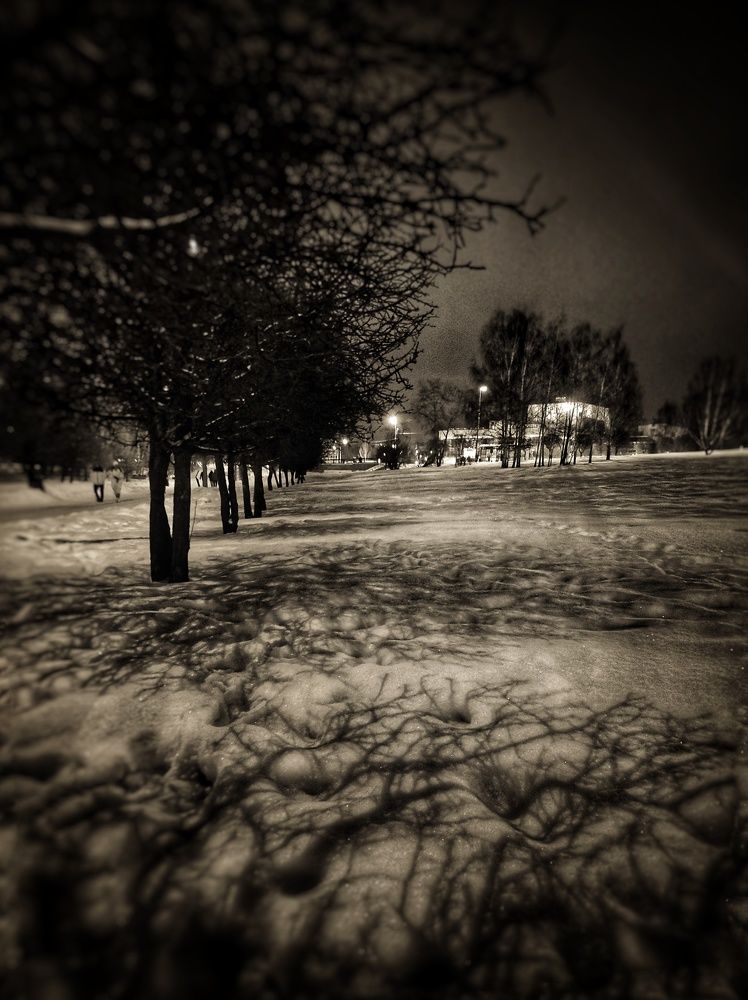 Photograph by Anastasia Malukova