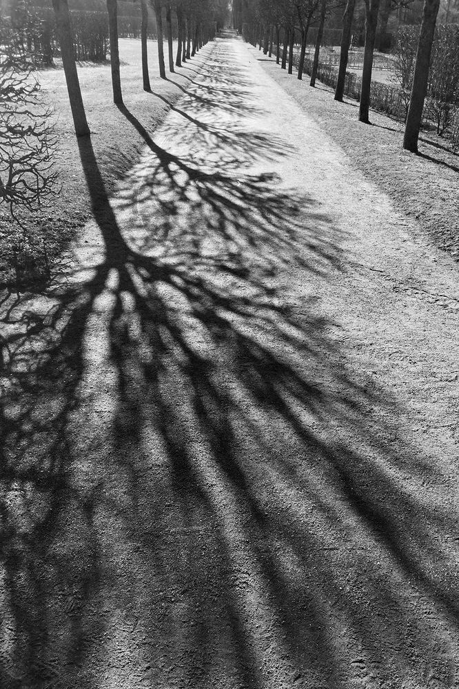 Photograph by Чистякова Валерия