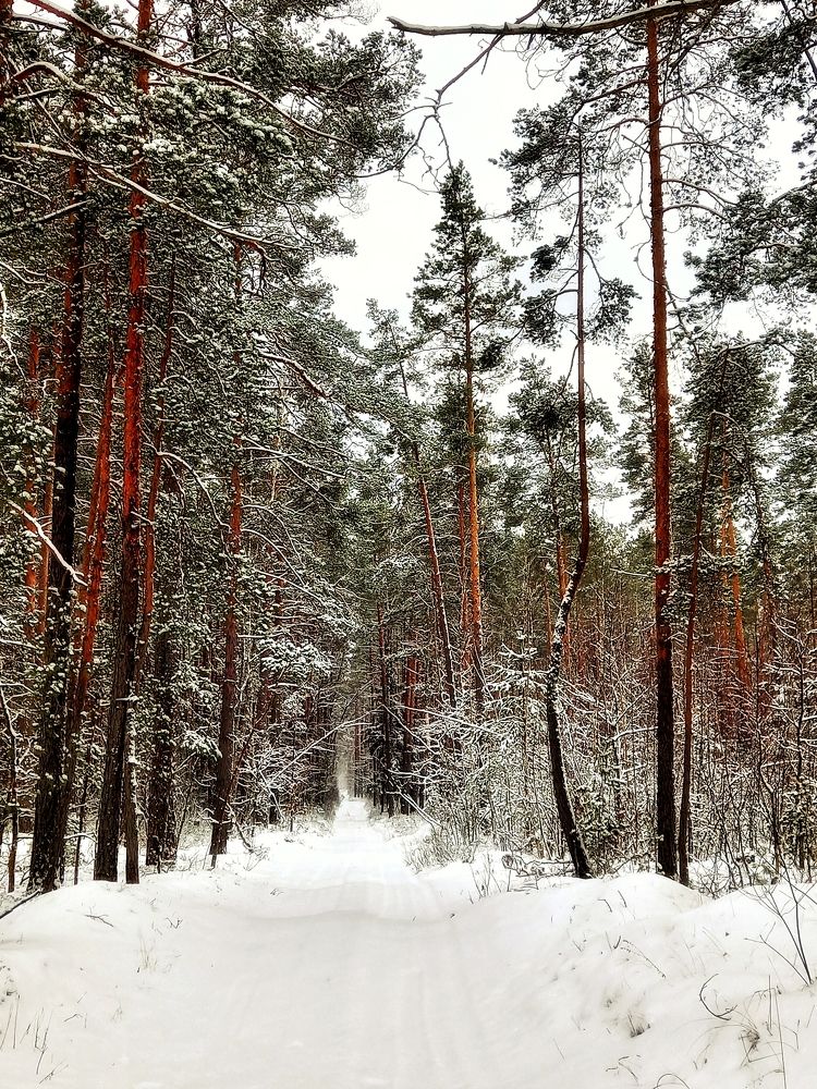 Photograph by Svetlana Yurasova