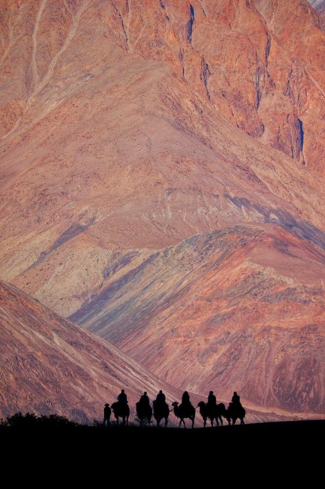 Camel Ride At Nubra Valley Desert