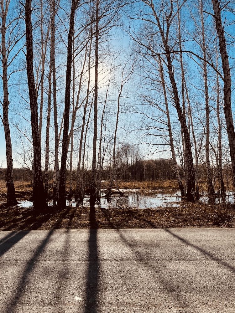 Photograph by Ольга Рачилова