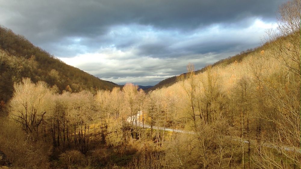 Photograph by Lidija Jevremovic