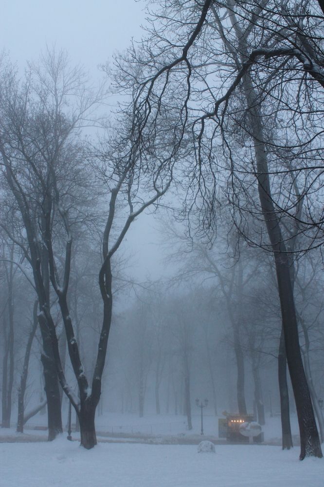 Фотография автора Алла Черноморская