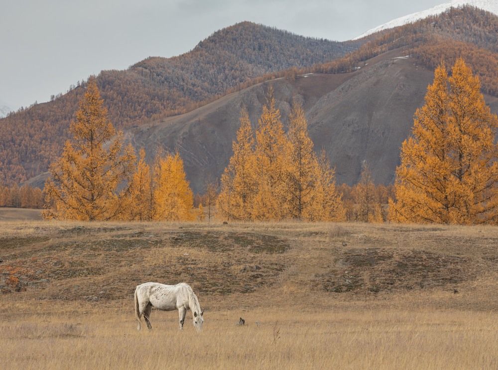 Photograph by Илья Поляк