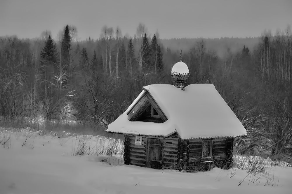 Фотография автора Олег Раков