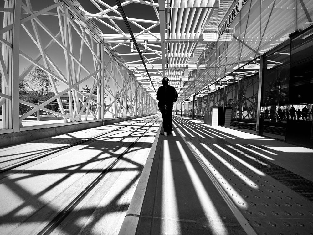 Photograph by Manjri Saxena