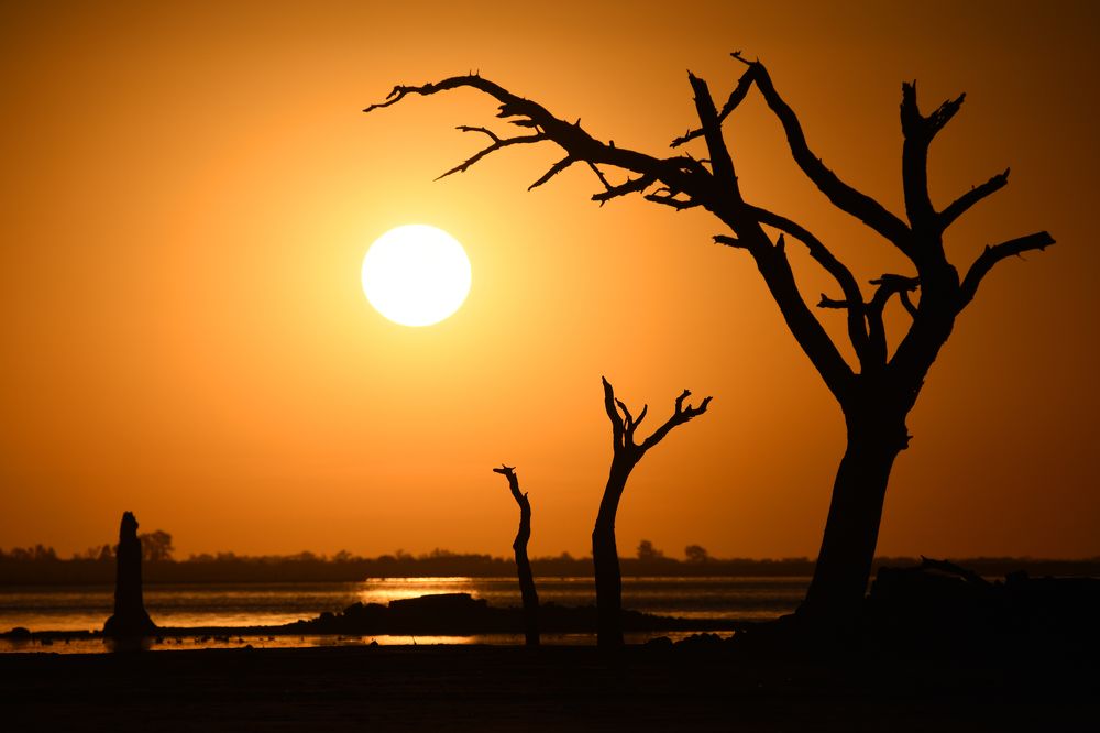 Photograph by SI SABER LOTFI