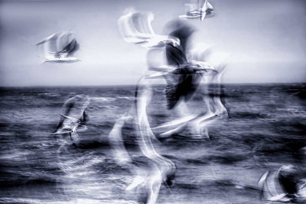 Photograph by Владимир Кваша