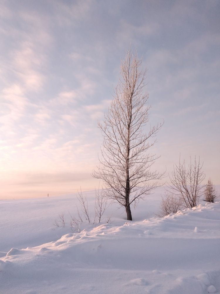 Photo #8594181