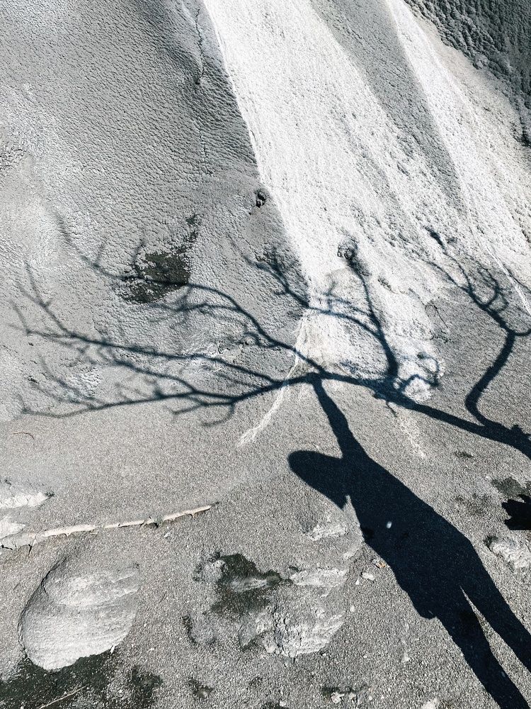 Photograph by Olesya Serebryantseva