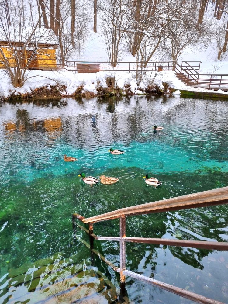Photograph by Ангелина Шикина