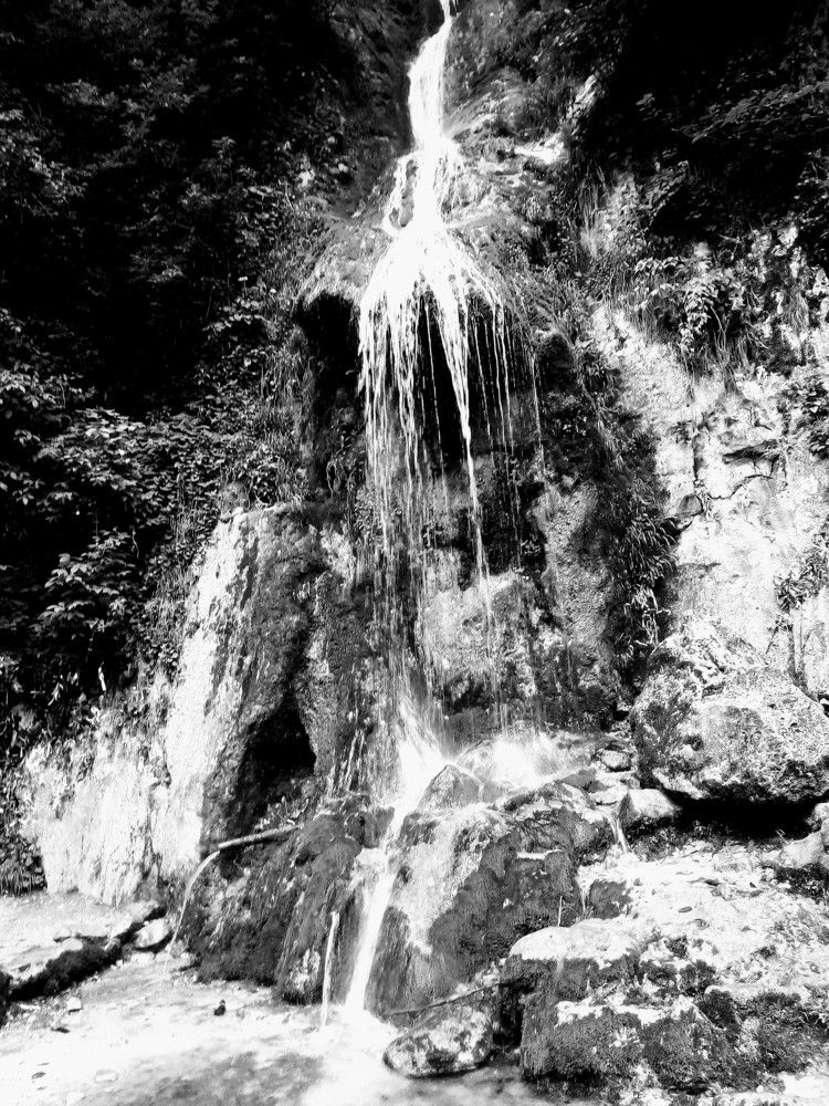 Photograph by Татьяна Пальчикова