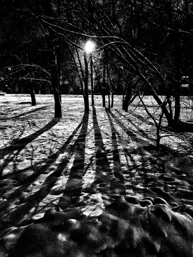 Photograph by Инга Сабанова