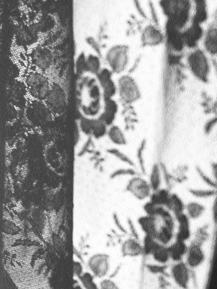 Photograph by Алена Шаргина