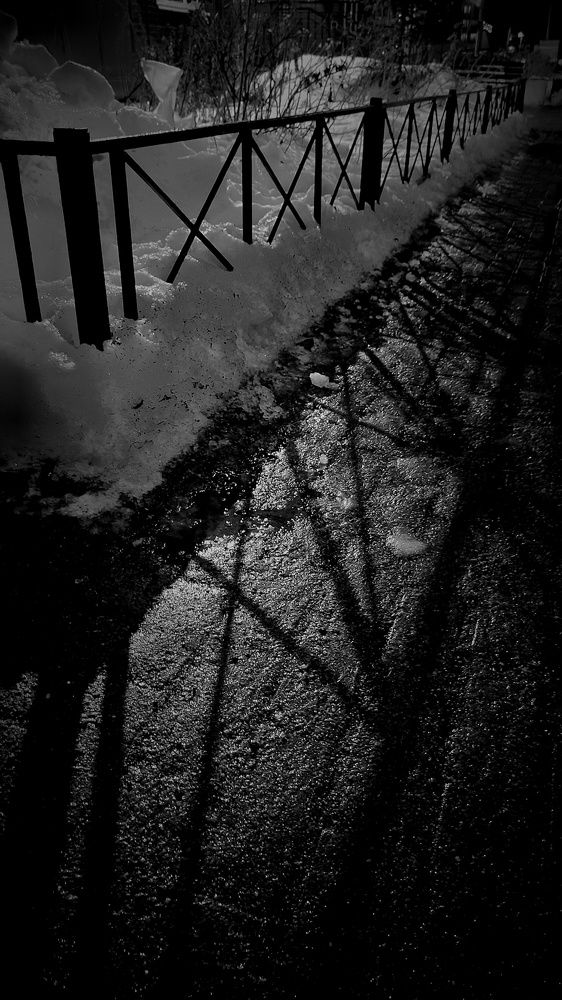 Photograph by Мария Федорова