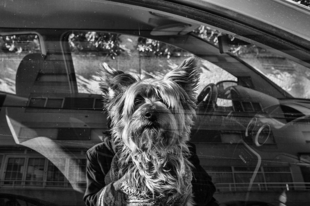 Photograph by Pere Arnaldo