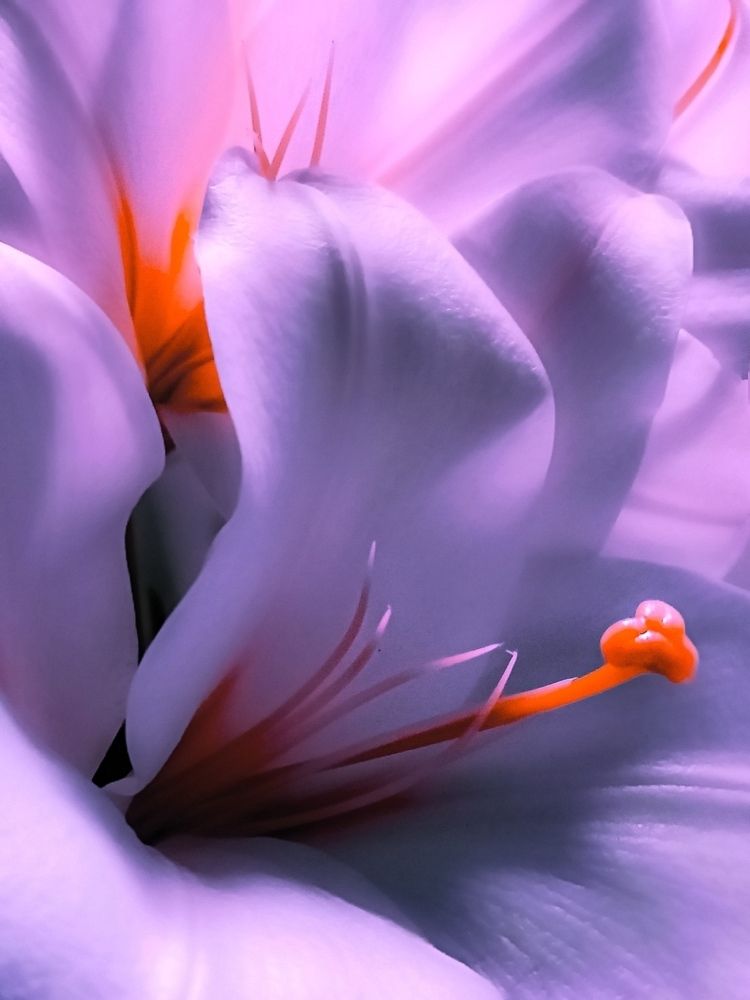 Photograph by Александр Деркач