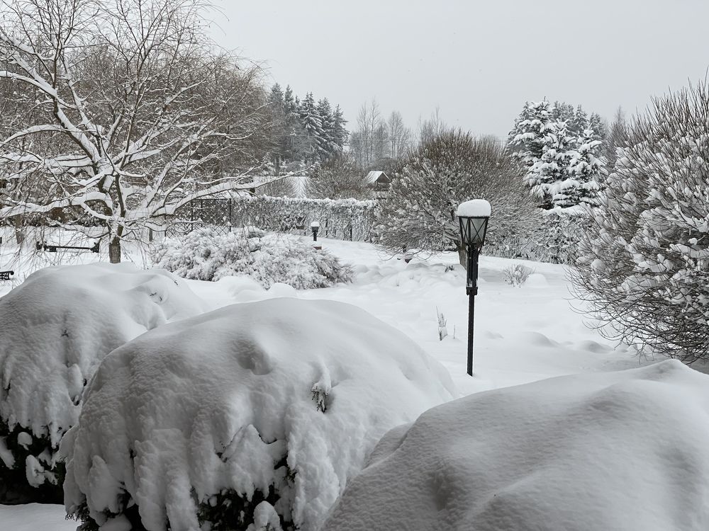 Photograph by Вера Рудик