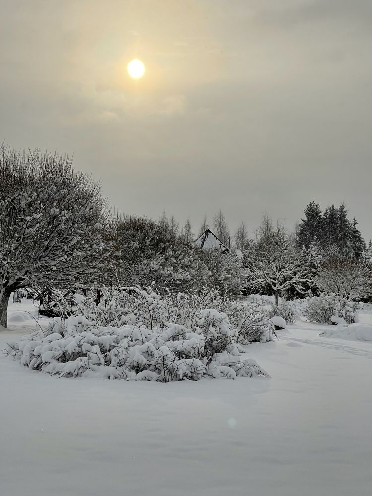 Photograph by Вера Рудик