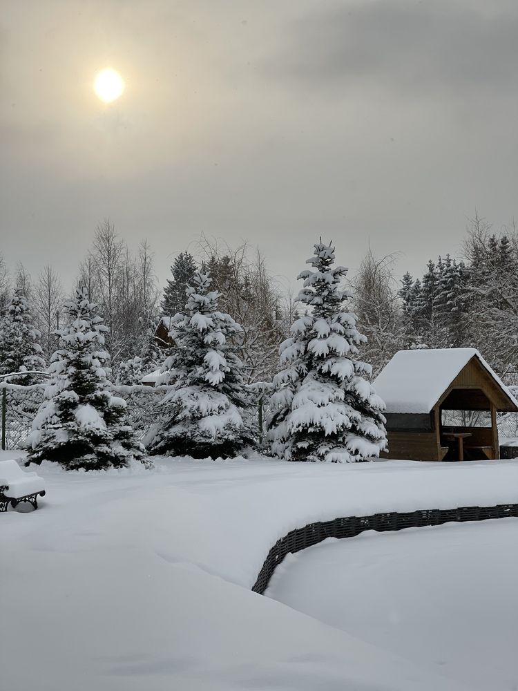 Photograph by Вера Рудик