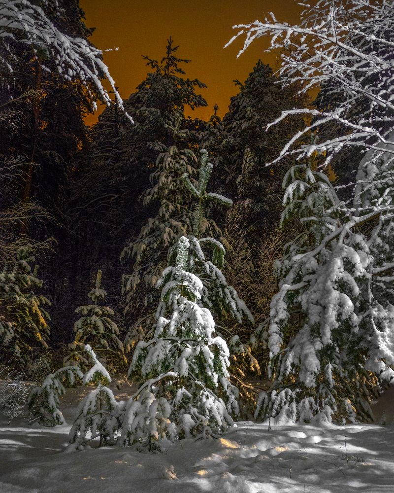 Photograph by АНДРЕЙ АБАКУМОВ