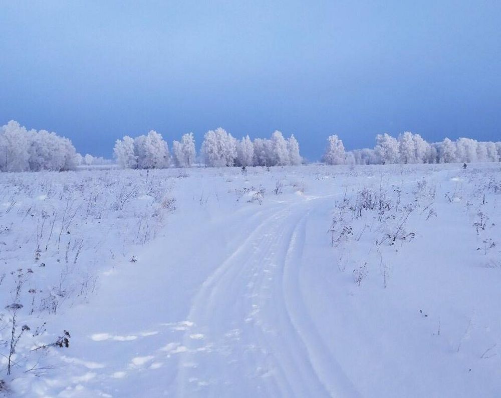 Photograph by Тамара Багровская