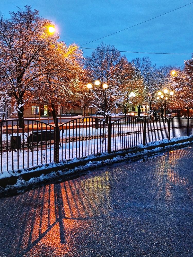 Photograph by Алла Холодова