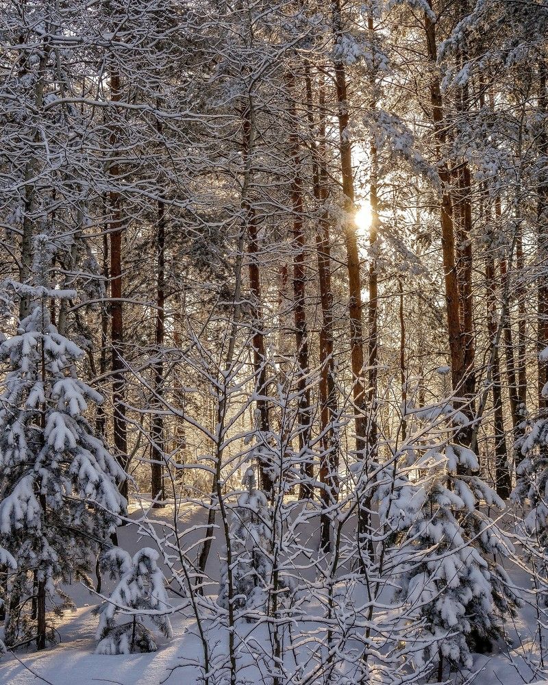 Photograph by АНДРЕЙ АБАКУМОВ