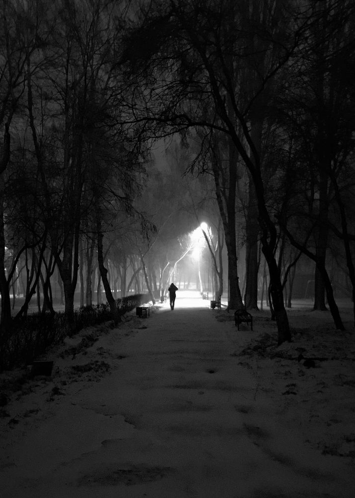 Photograph by Орынбек Асилбаев